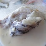 Le Fafaru, un poisson qui pue