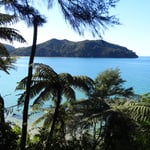 Avant goût de la Polynésie