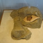 Un véritable oeil de Moai