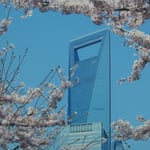 Elle porte bien son nom