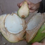 Après avoir bu le lait, une fois ouverte. Chair gluante, goût peu prononcé.