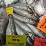 Un des meilleurs poissons du coin