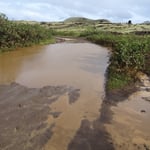 Le chemin est périlleux