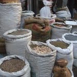 Différentes herbes aromatiques