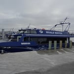 ... et le fameux bateau