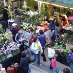 Le Flower Market