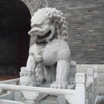 Les lions asiatiques, gardiens sûprêmes