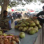 Noix de coco fraiches