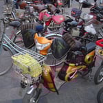 Vélos, élecriques ou pas