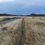 Sur le dernier tiers, la steppe