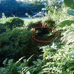 裏に回ると赤い丸のあたりから。これ以上近くには行けません。