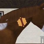 Best Friends - Mein Pferd 3D