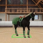 Best Friends - Mein Pferd 3D