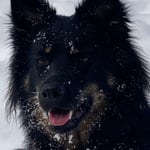 Anouk im Alter von einem Jahr