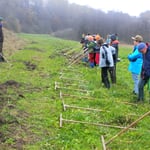 Umweltbildung: Abheuaktion mit Schulkindern 