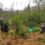 Landschaftspflege im Ettenhofer Moos