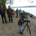 Umweltbildung: Wasservögel an der Roseninsel