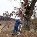 Vogelschutz: Anbringen von Nistkästen für den Wendehals 