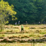 Landschaftspflege: Abheuen der Barthwiese