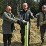 Landschaftspflege: Pflanzung von Elsbeeren 