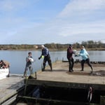 Vogelschutz: Kieserneuerung am Flussseeschwalbenfloß im Starnberger See