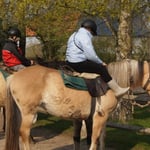 Ca y est , j'y suis.