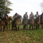 Cavaliers au départ de la Transhenson