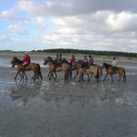 La baie de somme à cheval