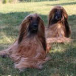 Usuni und U'Bekele an ihrem 11. Geburtstag