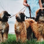 U'Bekele und Usuni mit Onkel Topas