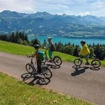 Niederhorn Trottitour 