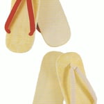 【雪駄】 ■踊り履