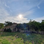 le champs à côté fait parti du gite 