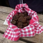 truffe marché au truffes de lalbenque dans le lot en Quercy location famille - venez voir pour vos vancances