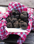 truffe marché au truffes de lalbenque dans le lot en Quercy location famille - venez voir pour vos vancances