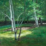 Eliza Auth, “Birches”, 12" x 12", oil on canvas