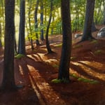 Eliza Auth, “Light on the Lake”, 12" x 12", oil on canvas