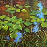 Eliza Auth, “Spatterdock”, 11" x 14", oil on canvas