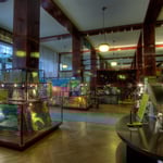 Looshaus Wien: Schalterhalle