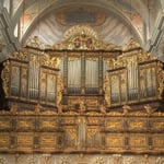 Die mechanische Schleifladenorgel wurde zum 900 Jahr-Jubiläum 1983 von Walcker/Murrhardt in Guntramsdorf gebaut.