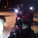 Nur dank euch meine Hunde war dies alles möglich!