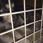 Wohlverdiente Ruhe nach 190 km und 5'400 Höhenmetern in 4 Tagen.