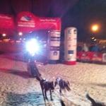 Zieleinlauf, völlig durchgefroren. Ich hatte viel zu wenig warme Kleider an, weil ich ja nur krank auf dem Schlitten hing, und keinen einzigen Kick mithelfen konnte.