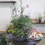 先生が作った作品。いつかはこんな風に作ってみたいな～