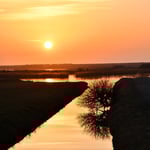 LE SOLEIL SE COUCHE SUR LA GRAVIERE