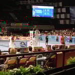 Eine tolle Finalpaarung mit hochklassigem Tennis: Jo-Wilfried Tsonga vs. Juan Martin del Potro