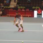 Tsonga, erstmals in Wien, ist Publikumsliebling