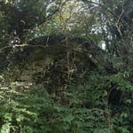 Mauerreste der Wasserburg bei Buchklingen  ©Barbara Langer