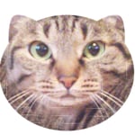 オフセット印刷はリアル系も得意です