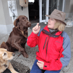 Jess (Sanibelbreeze Dizzy Dragonfly)